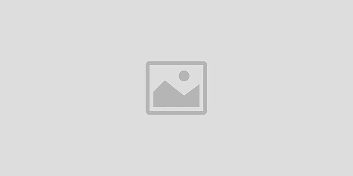 Quarlytics Shopping